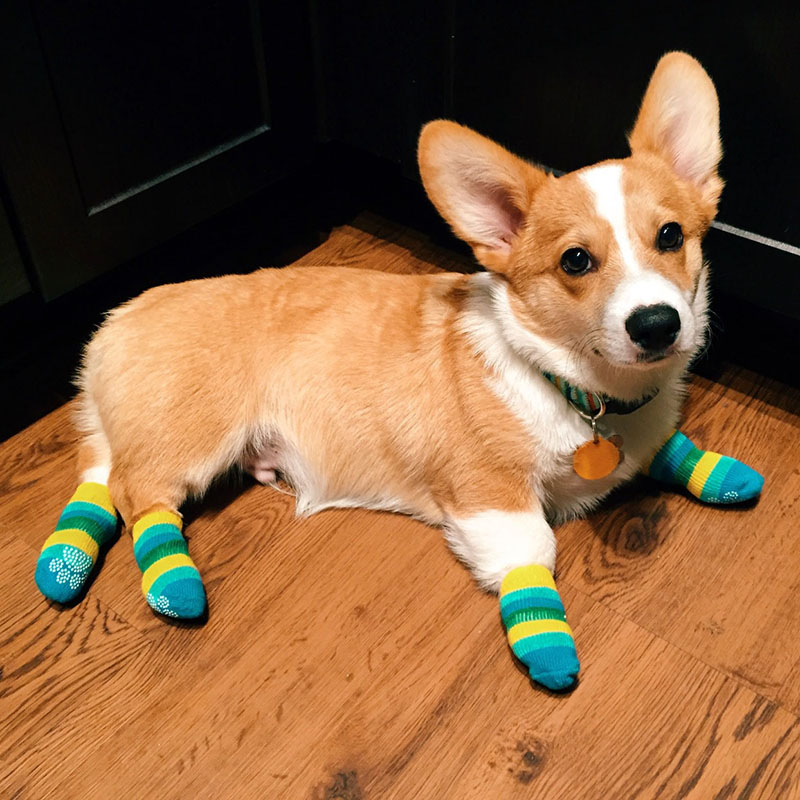 Look At His Little Socks