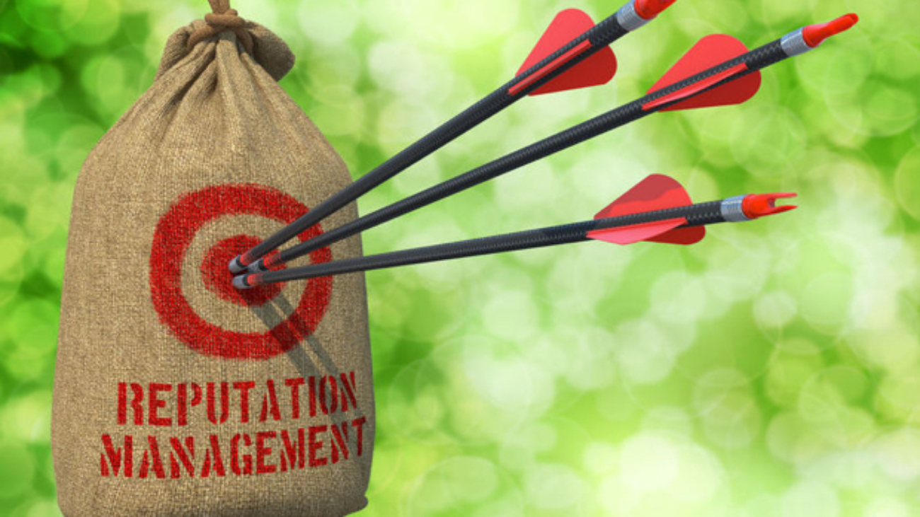 29751937 - reputation management  - three arrows hit in red target on a hanging sack on green bokeh background