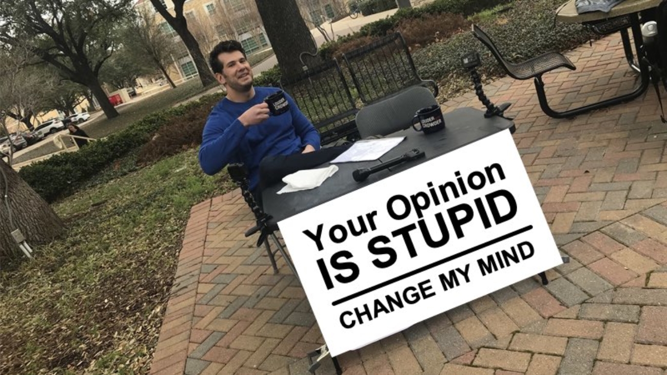 opinion